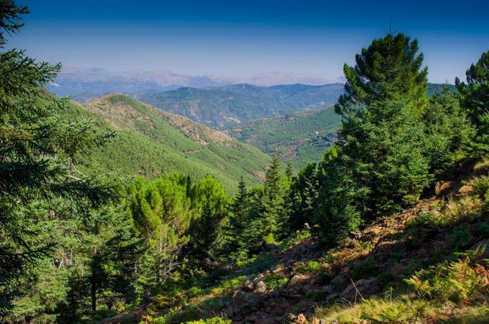 Archivo - Sierra Bermeja