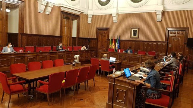 Pleno de la Diputación