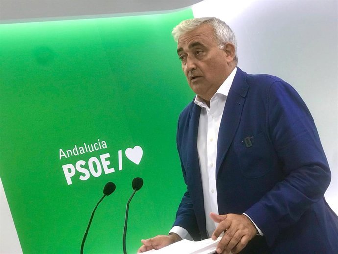 Arellano, durante la rueda de prensa