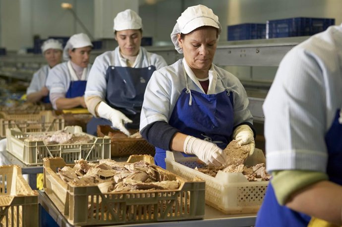 Archivo - Empresa de transformación de productos pesqueros.