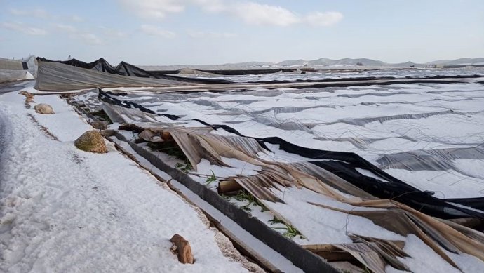 Un invernadero arrasado por granizo