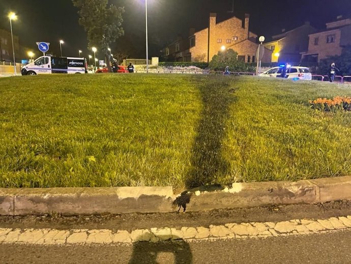 El coche accidentado tras saltarse un control y ser perseguido por la Policía