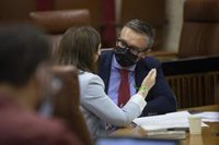 Vox pide eliminar en Andalucía las subvenciones a "asociaciones ideológicas de la mal llamada violencia machista"