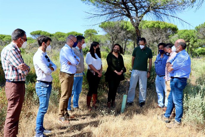 Carmen Crespo visita la zona de Doñana ambientalmente restaurada tras el incendio de Las Peñuelas de 2017