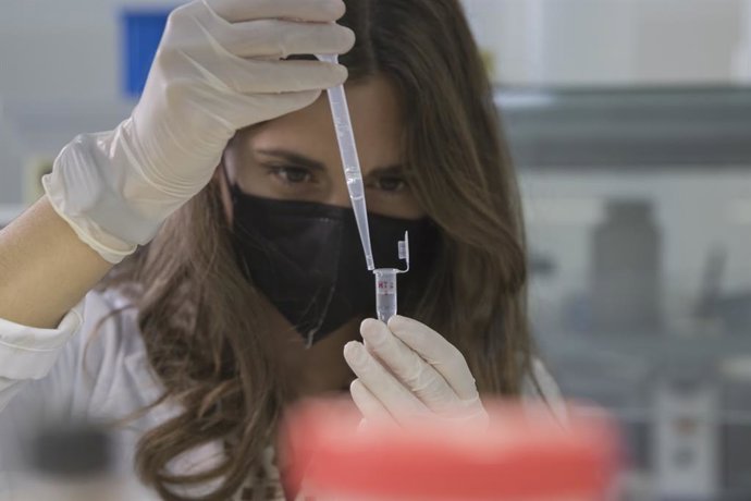 Científicos de la UGR trabajan en un sistema de implantes bucales para combatir la pérdida de hueso maxilar