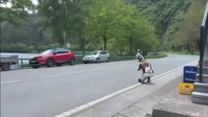 Motorista grabado a gran velocidad.