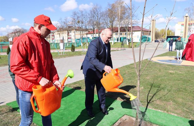 Archivo - El presidente de Bielorrusia, Alexander Lukashenko, riega un árbol