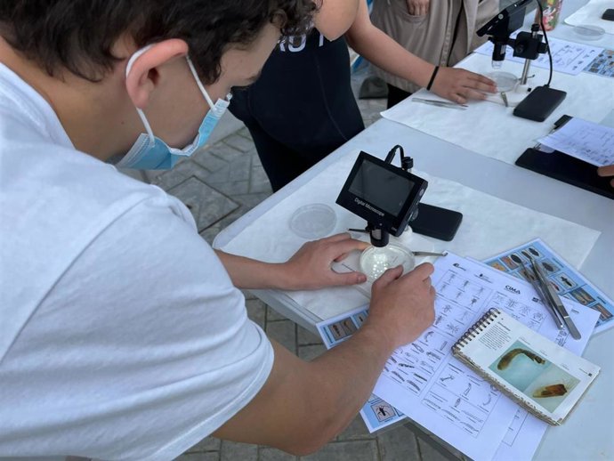 Alumnos de un colegio