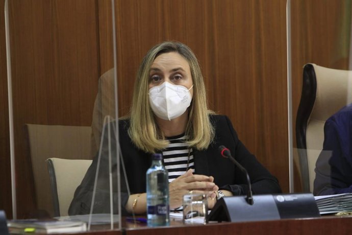 La consejera de Fomento, Infraestructuras y Ordenación del Territorio, Marifrán Carazo, en comisión parlamentaria.