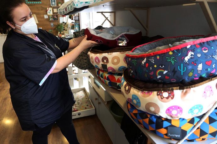 Archivo - La dependienta de una tiendas de animales.