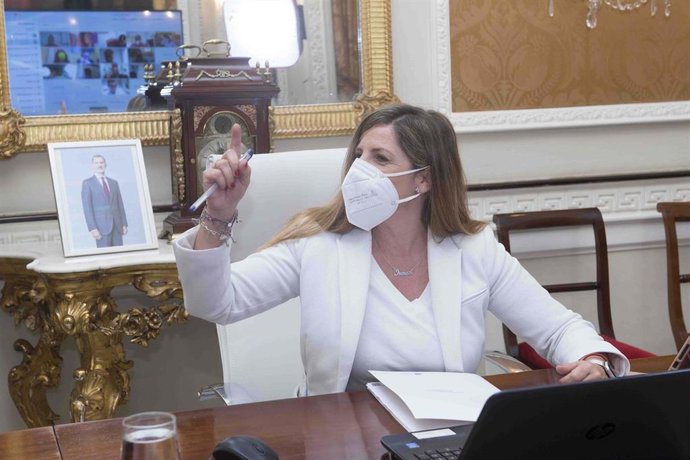 La presidenta de la Diputación de Cádiz, durante el Pleno de Diputación.