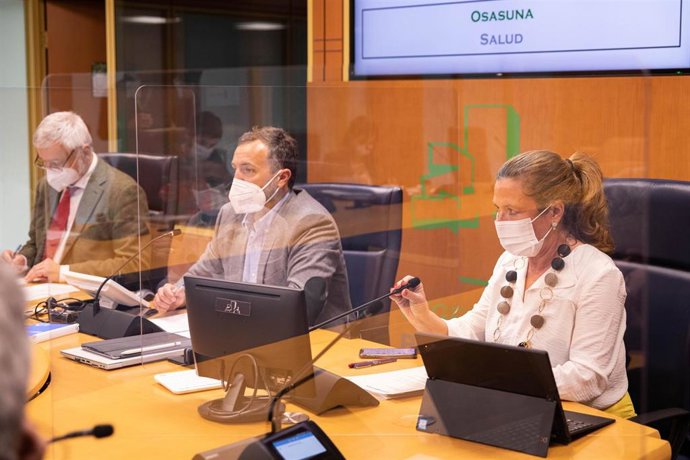 La consejera de Salud del Gobierno Vasco, Gotzone Sagardui, en el Parlamento Vasco