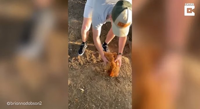 El truco de este hombre para dormir a una gallina se hace viral en Internet con millones de visitas