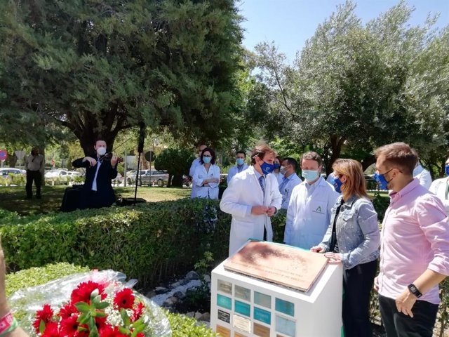 Homenaje a los donantes de órganos y tejidos