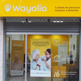 Wayalia crece exponencialmente y se mantiene líder del sector.