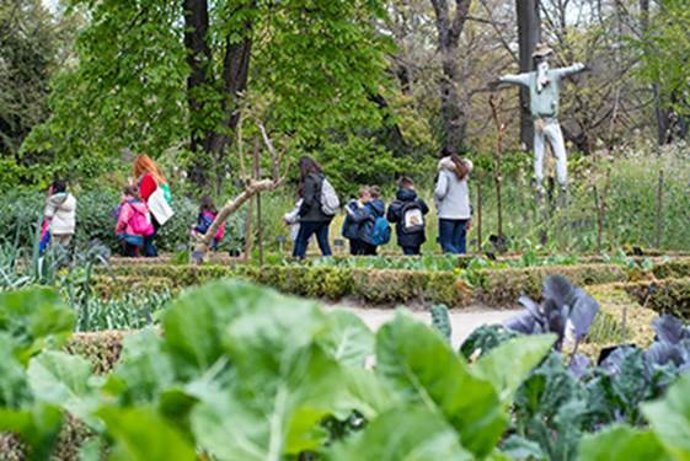 La educación de los escolares es uno de los objetivos del RJB para conocer y respetar nuestra biodiversidad.