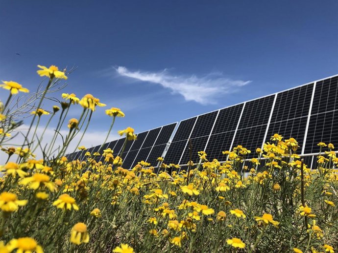 Detalle de paneles solares