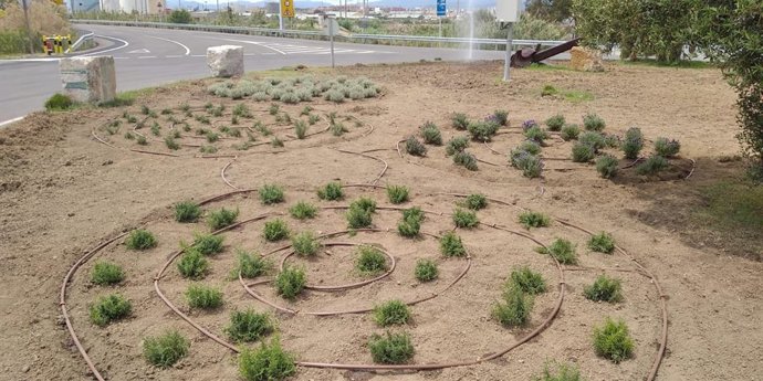 El Port de Tarragona celebra el Día Mundial del Medio Ambiente con tres iniciativas sostenibles