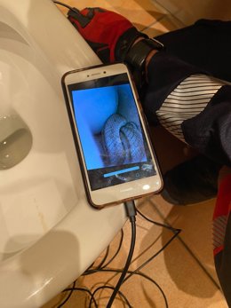 La culebra se había metido en el inodoro