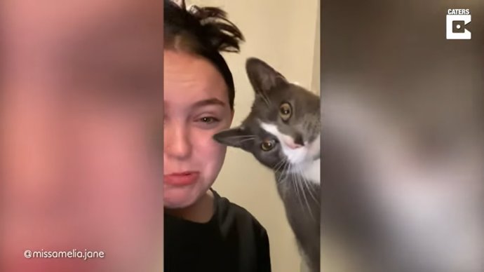 Esta joven se lleva un zasca de su gato por imitar su maullido