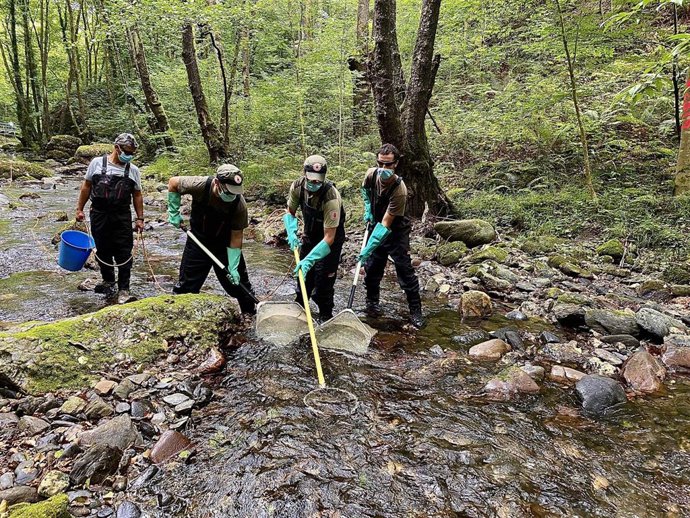 Archivo - Trabajos en el medio fluvial.