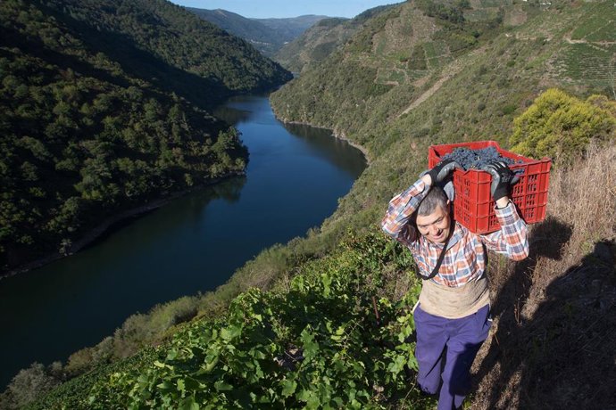 Archivo - Ribeira Sacra