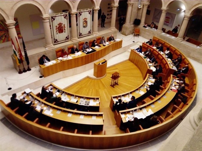 Archivo - Pleno del Parlamento de La Rioja