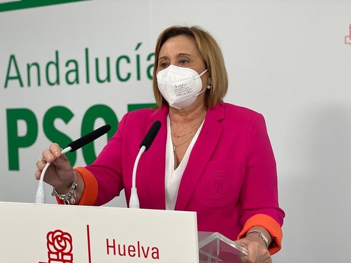 La coordinadora de la Gestora del PSOE de Huelva, diputada portavoz de la Comisión de Agricultura, Pesca y Alimentación en el Congreso, María Luisa Faneca, en rueda de prensa.