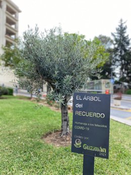'Árbol Del Recuerdo' Enhomenajea A Víctimas Y A Quienes Lucharon Contra El COVID