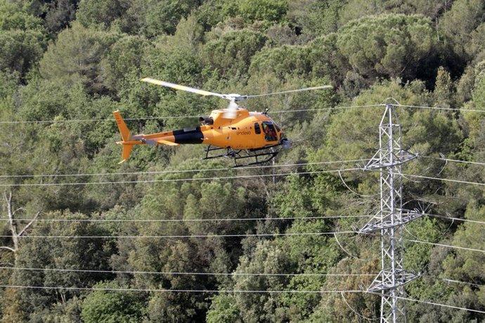 Trabajos mantenimiento en las redes eléctricas de Endesa