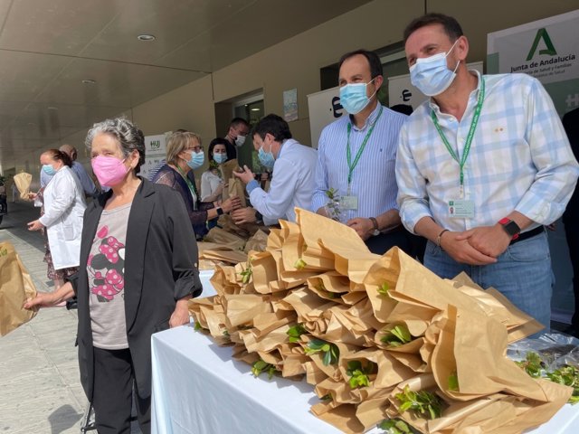 Reparto de plantones