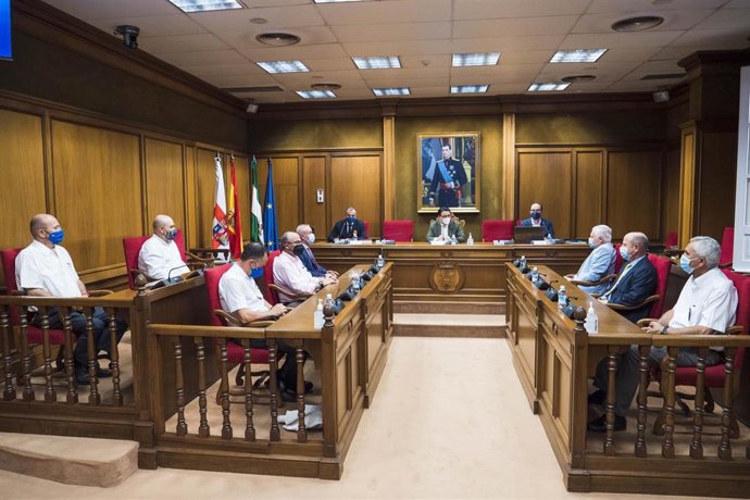 El diputado provincial de Cultura y Cine, Manuel Guzmán, asiste a la conferencia del ejército en el salón de plenos de la diputación de Almería