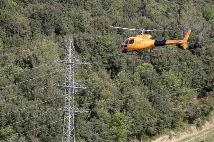 Endesa destina 20 millones al plan anual de protección de bosques