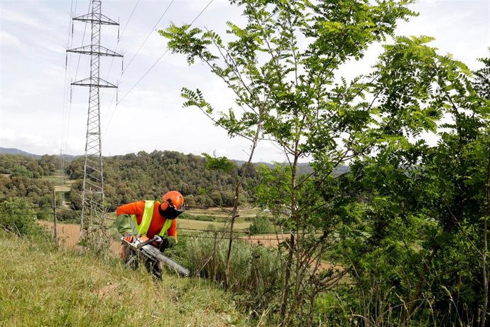 Operario trabaja en la adecuación del terreno para evitar incendios forestales