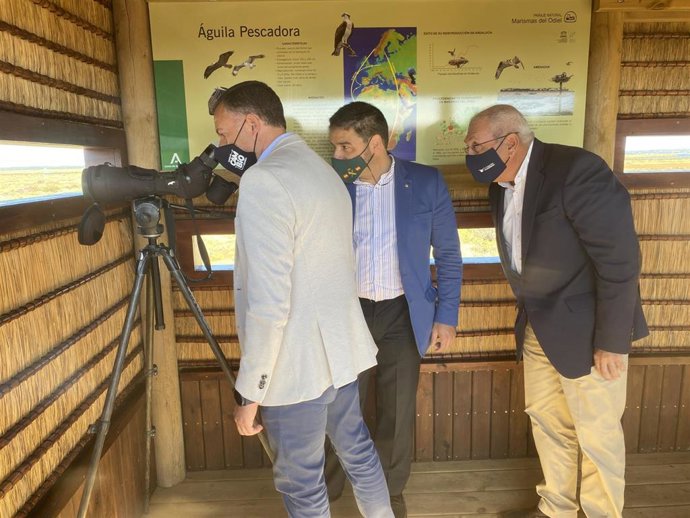 El delegado de Desarrollo Sostenible, José Enrique Borallo, inaugura en Marismas del Odiel inaugura el nuevo Observatorio del Águila en una zona restaurada de Isla de Bacuta.
