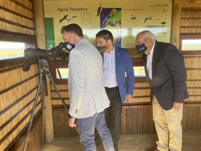 El delegado de Desarrollo Sostenible, José Enrique Borallo, inaugura en Marismas del Odiel inaugura el nuevo Observatorio del Águila en una zona restaurada de Isla de Bacuta.