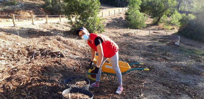 Un voluntario de Cruz Roja realiza tareas de reforestación