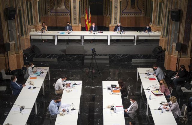 Imagen del pleno extraordinario celebrado este viernes en la Diputación de Valencia.