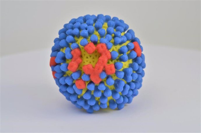 Archivo - Modelo del virus de la gripe, influenza