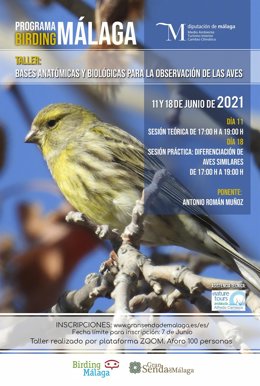 Cartel de Birding Málaga