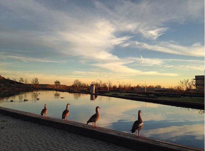 Archivo - Parque de valdebernardo