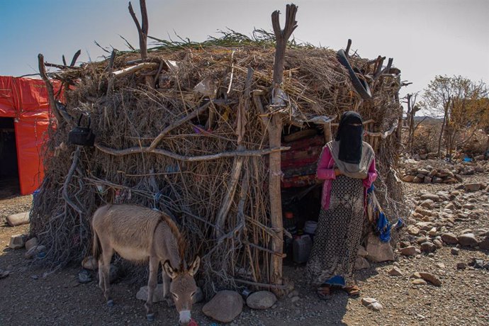 Archivo - Aisha y Tawfiq usaron todo aquello que tenían a mano para construir su albergue temporario cuando se vieron desplazados