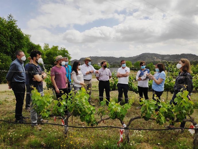El director del IMIDA, Víctor Serrano, y el director general de Agricultura, Industria Alimentaria y Cooperativismo Agrario, José Gómez, durante la visita a la finca Hacienda Nueva del IMIDA, en la localidad de El Chaparral