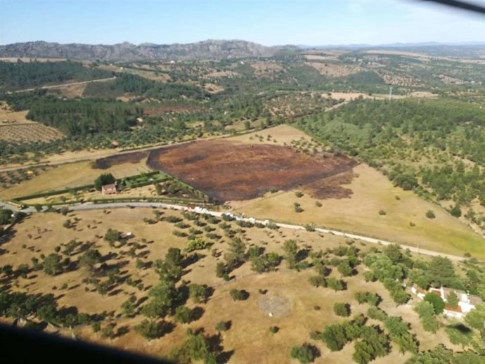 Efectos de un incendio forestal.