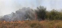 Declarado un incendio forestal en Bollullos y controlado otro en Almonte (Huelva)