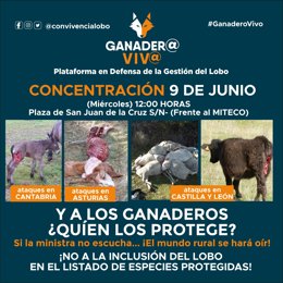 Cartel de la manifestación contra la protección del lobo del 9 de junio