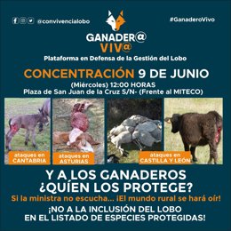 Cartel de la manifestación contra la protección del lobo del 9 de junio