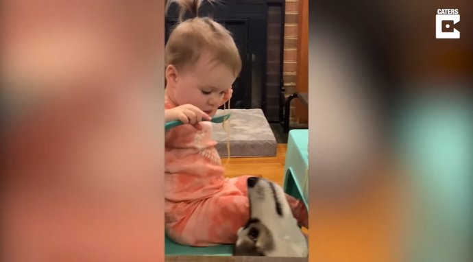 Esta niña de 18 meses y su perro ya conocen la importancia de compartir con los demás