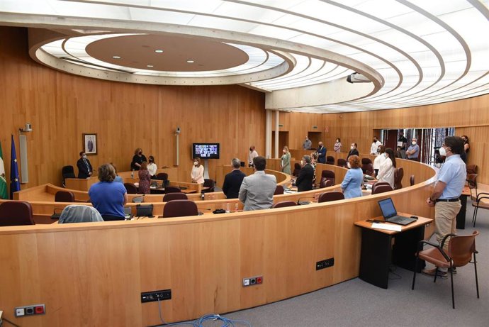 Pleno de la Diputación de Granada