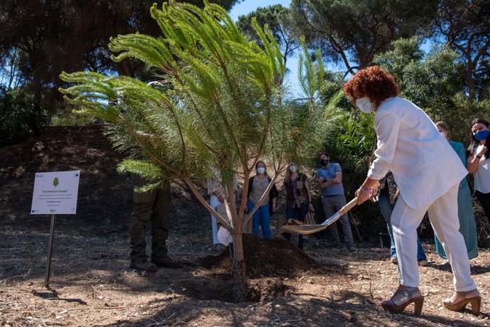 La presidenta de la Diputación de Huelva, María Eugenia Limón, durante el acto de plantación del árbol.